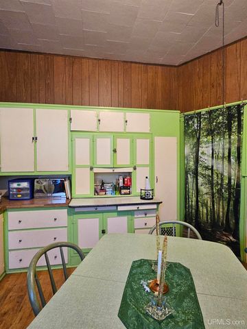 204 Montezuma Street, Hancock, MI 49930