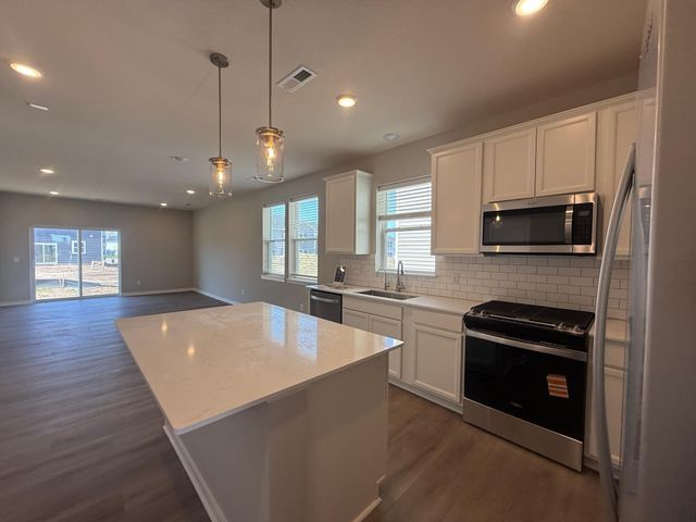 15035 Askeaton Place, Rosemount, MN 55068