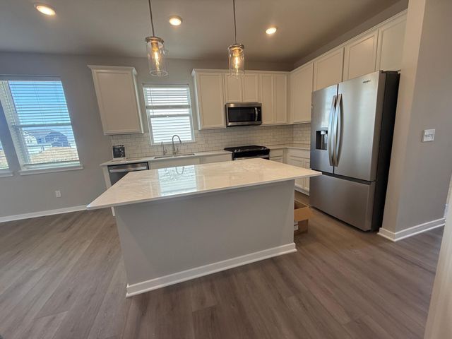 15035 Askeaton Place, Rosemount, MN 55068