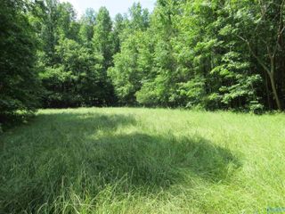 200 County Road 119, Limrock, AL 35776