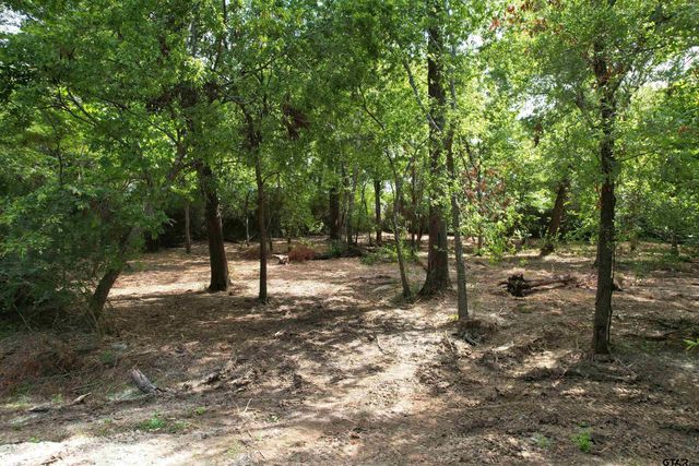 TBD Trailwood Drive, Crockett, TX 75835