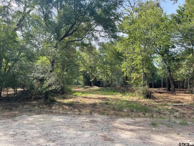 TBD Trailwood Drive, Crockett, TX 75835