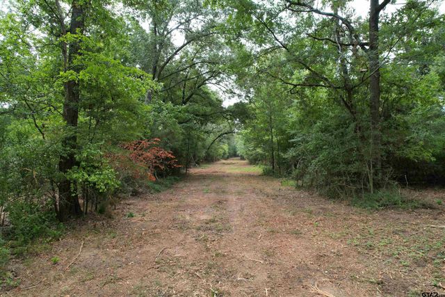 TBD Trailwood Drive, Crockett, TX 75835