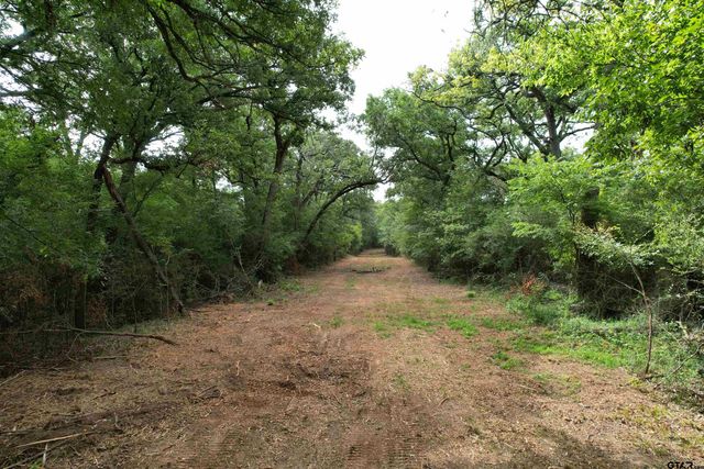 TBD Trailwood Drive, Crockett, TX 75835