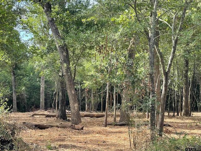 TBD Trailwood Drive, Crockett, TX 75835