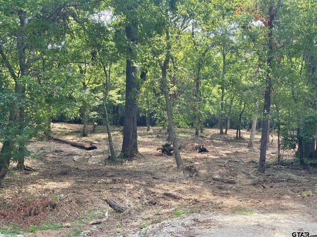 TBD Trailwood Drive, Crockett, TX 75835