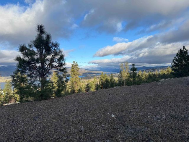39909 Mattox Way N, Davenport, WA 99122