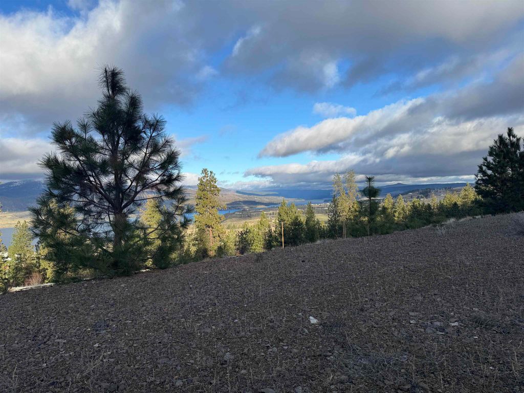 39909 Mattox Way N, Davenport, WA 99122