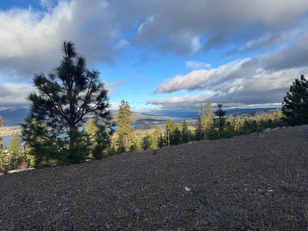 39909 Mattox Way N, Davenport, WA 99122 photo 2