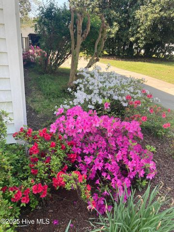 215 W Queen Street, Edenton, NC 27932