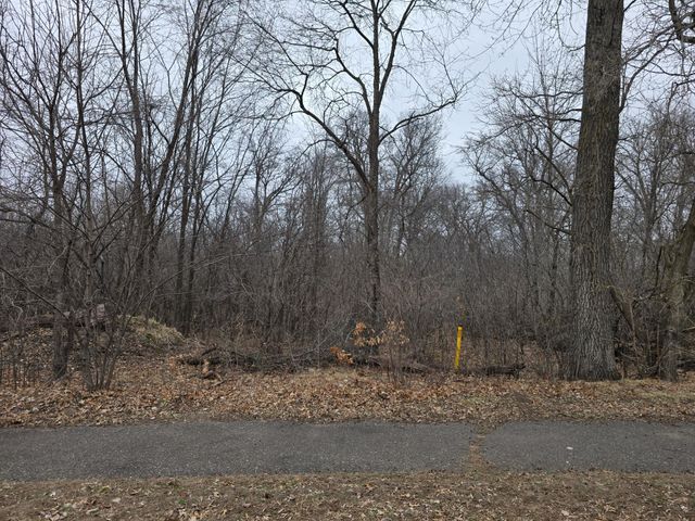 L2,B2 288th Avenue NW, Zimmerman, MN 55398