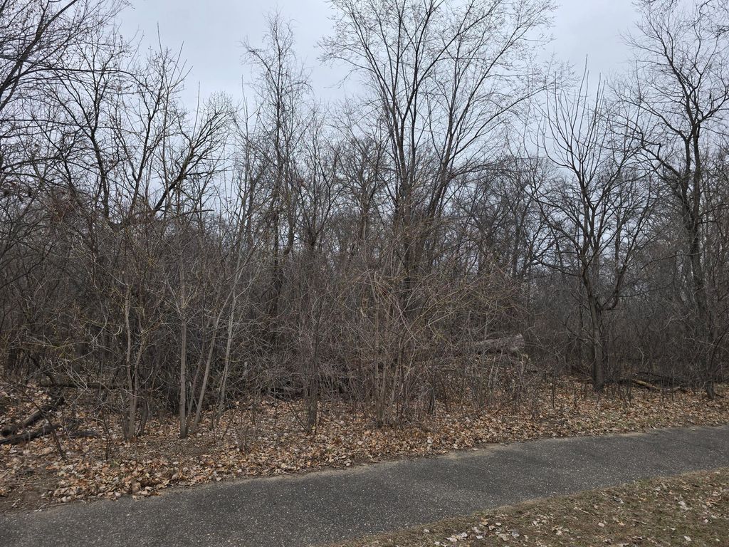 L2,B2 288th Avenue NW, Zimmerman, MN 55398