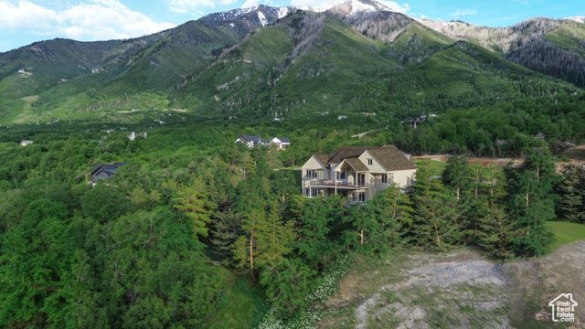 1087 S LOAFER DR, Woodland Hills, UT 84653