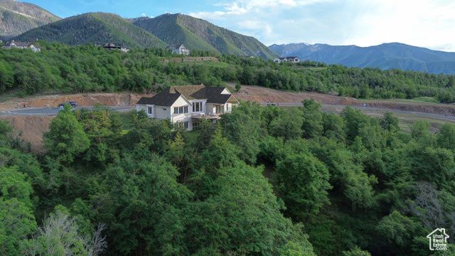 1087 S LOAFER DR, Woodland Hills, UT 84653