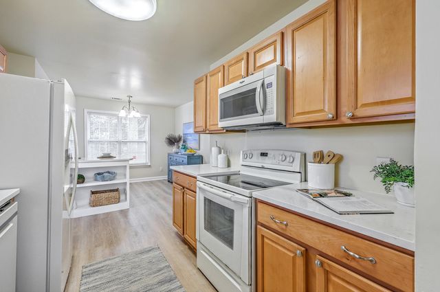 3809 Tim Ascue Lane, Awendaw, SC 29429
