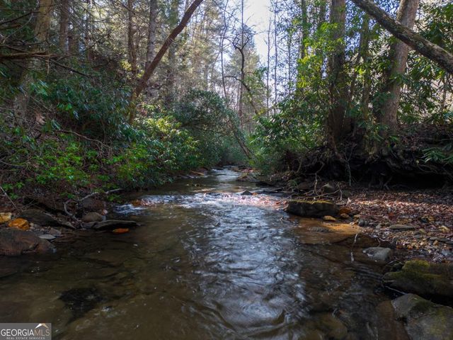 100 Stanley Creek Crossing, Blue Ridge, GA 30513