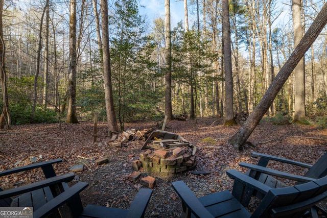 100 Stanley Creek Crossing, Blue Ridge, GA 30513