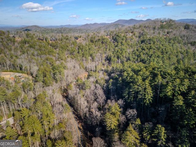 100 Stanley Creek Crossing, Blue Ridge, GA 30513