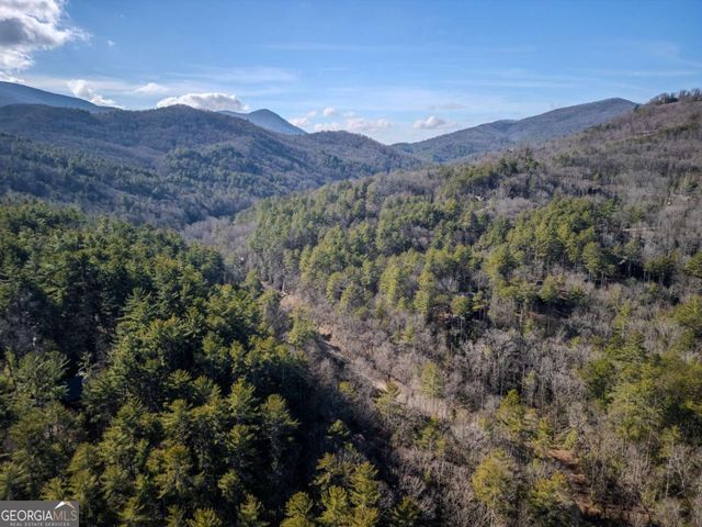 100 Stanley Creek Crossing, Blue Ridge, GA 30513