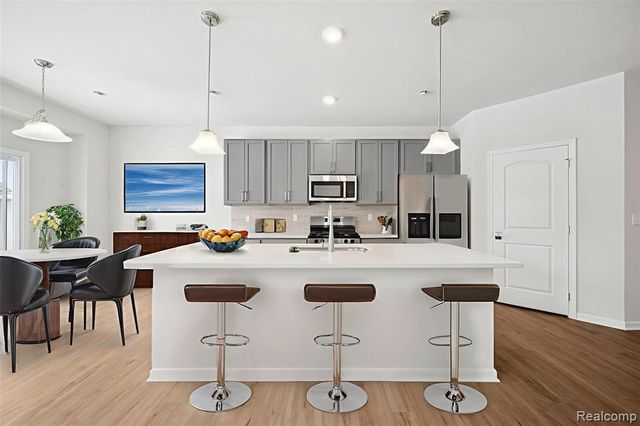 1602 Salt Springs Drive, Saline, MI 48176