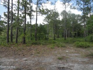 1 River Trail Lot 1, Burgaw, NC 28425