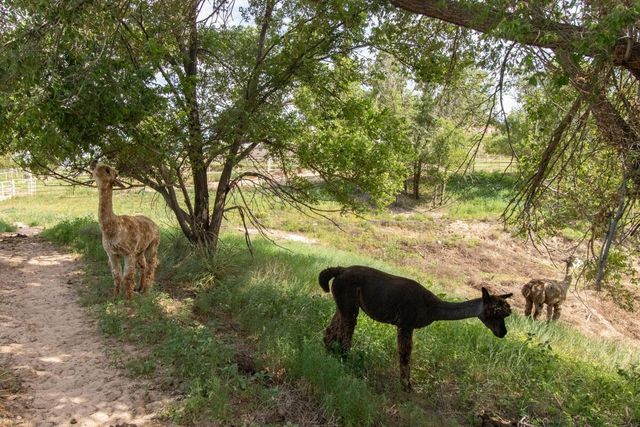 21401 Hope Road, Canyon, TX 79015