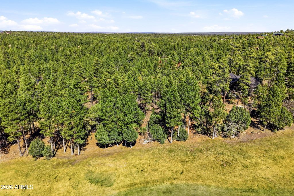 Image 10 of property listing at 3581 W SENNA Lane W 247, Show Low, AZ 85901