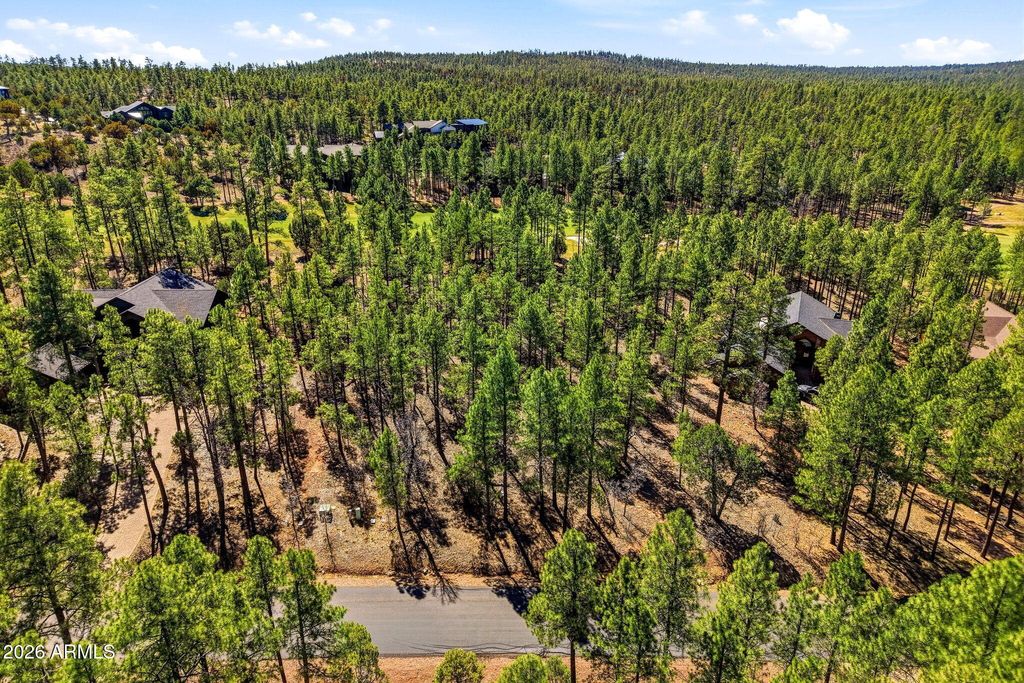 Image 2 of property listing at 3581 W SENNA Lane W 247, Show Low, AZ 85901