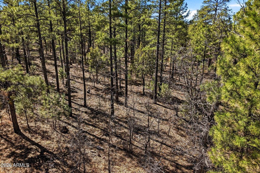 Image 3 of property listing at 3581 W SENNA Lane W 247, Show Low, AZ 85901