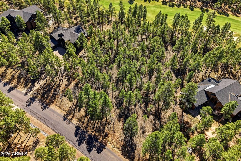 Image 4 of property listing at 3581 W SENNA Lane W 247, Show Low, AZ 85901