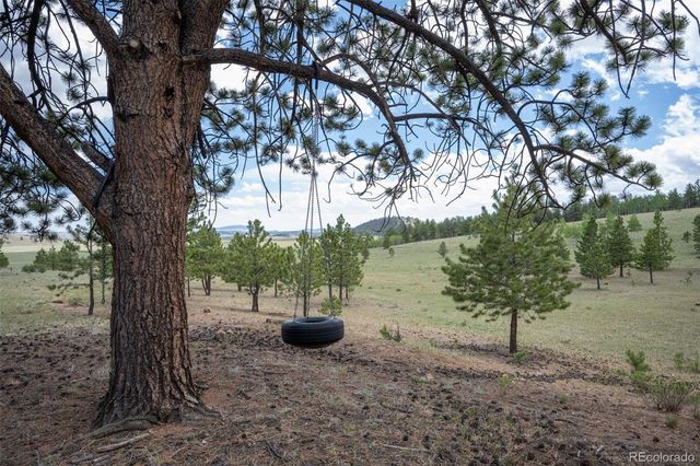 2883 Wagon Wheel Road, Hartsel, CO 80449