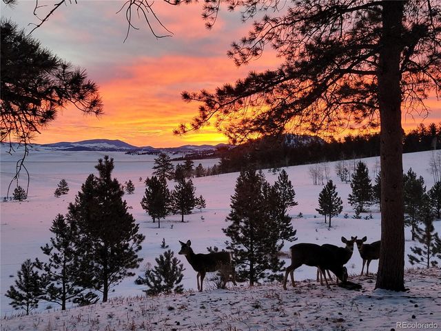 2883 Wagon Wheel Road, Hartsel, CO 80449
