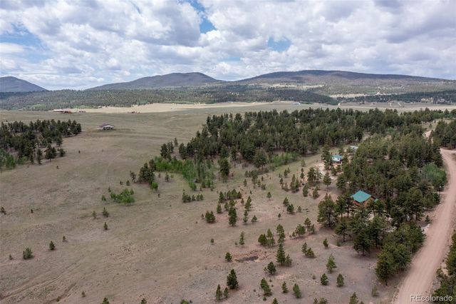 2883 Wagon Wheel Road, Hartsel, CO 80449