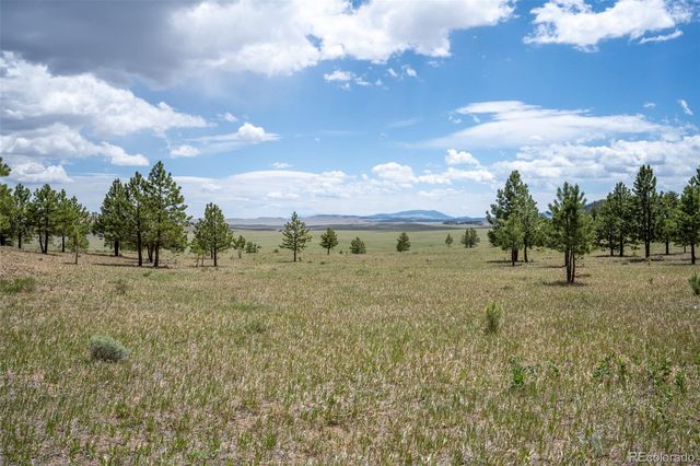 2883 Wagon Wheel Road, Hartsel, CO 80449