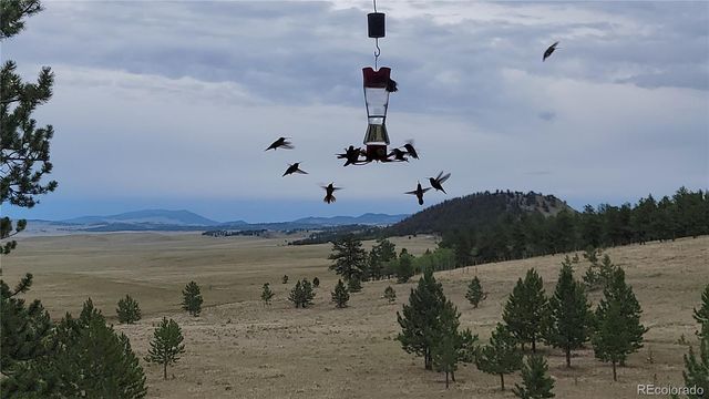 2883 Wagon Wheel Road, Hartsel, CO 80449