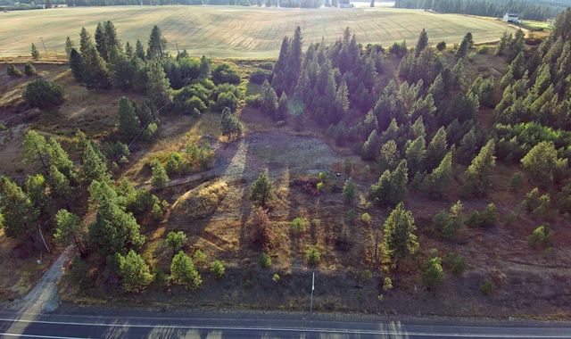 14117 E Gibbs Rd, Mica, WA 99023