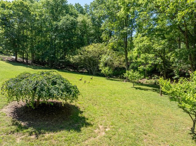 724 Fish Cove Road, Blairsville, GA 30512