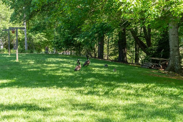724 Fish Cove Road, Blairsville, GA 30512