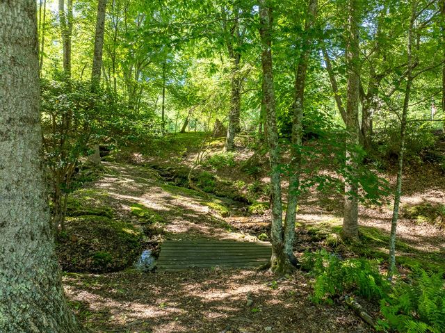 724 Fish Cove Road, Blairsville, GA 30512