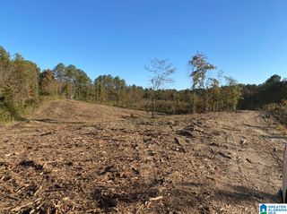 2011 MCCAY DRIVE, Morris, AL 35116