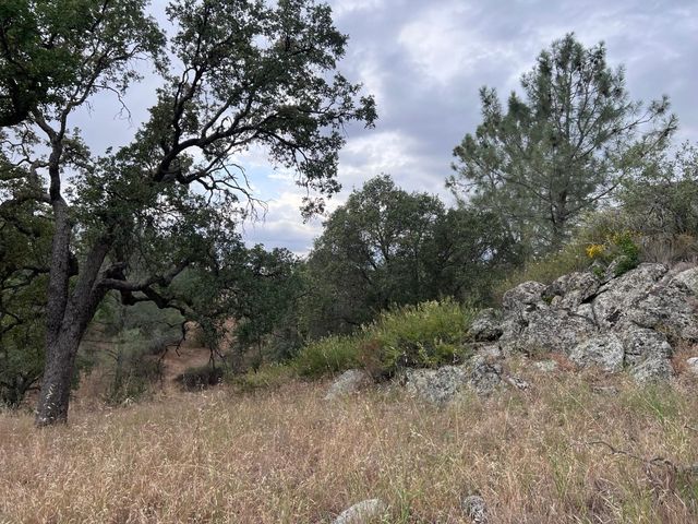 33298 Wahoo Ln, Auberry, CA 93602