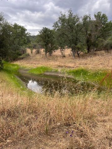 33298 Wahoo Ln, Auberry, CA 93602