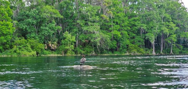 10058 SW 192ND CIRCLE, Dunnellon, FL 34432