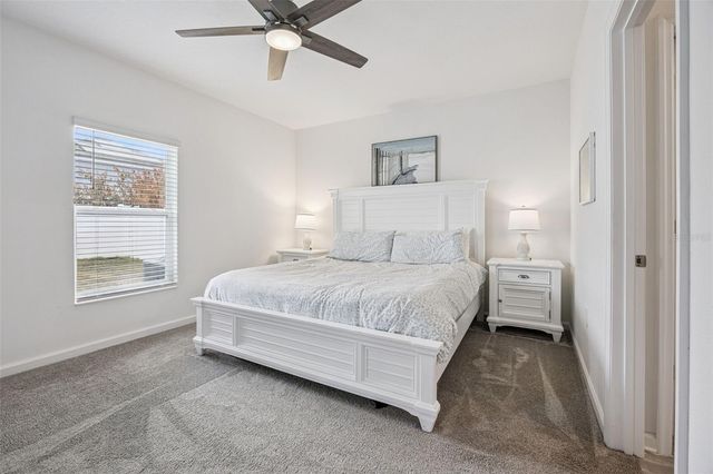 6836 PERCH HAMMOCK LOOP, Groveland, FL 34736