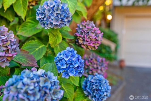 1928 Dumas Circle NE, Tacoma, WA 98422