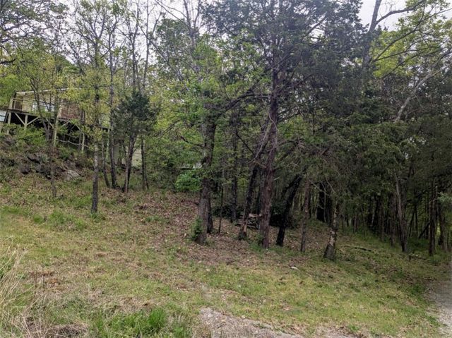 TBD Leatherwood Drive, Holiday Island, AR 72631