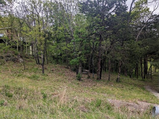 TBD Leatherwood Drive, Holiday Island, AR 72631