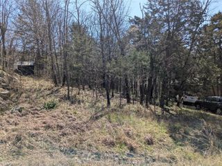 TBD Leatherwood Drive, Holiday Island, AR 72631