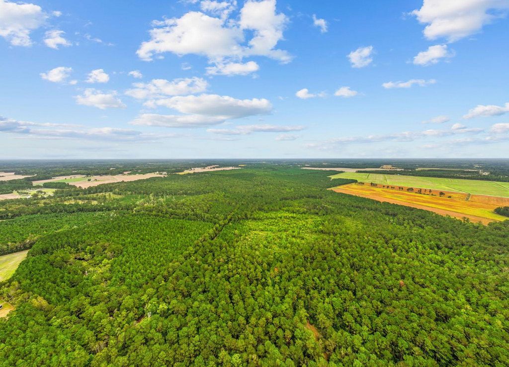 TBD River Bend Rd., Loris, SC 29569 — photo 5