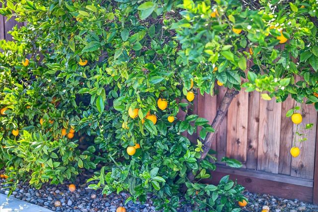 786 Lakewood Drive, Sunnyvale, CA 94089